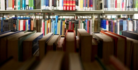 university or apprenticeship